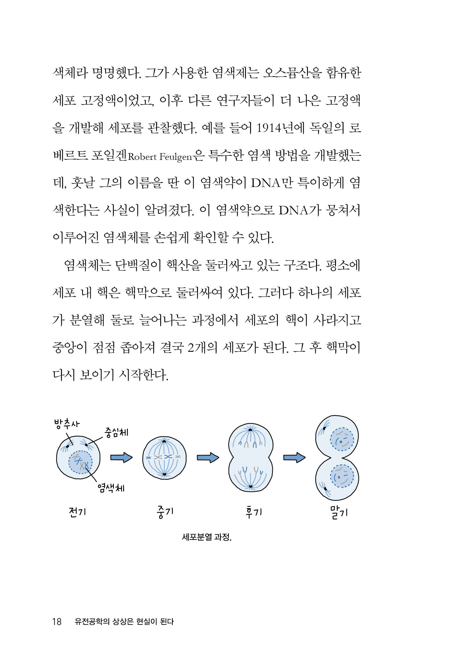 본문미리보기