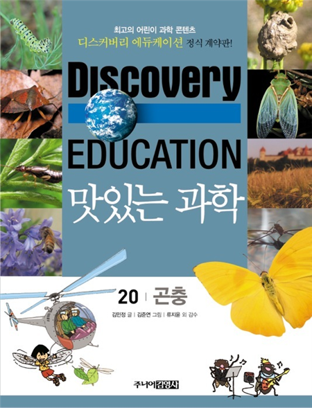 곤충