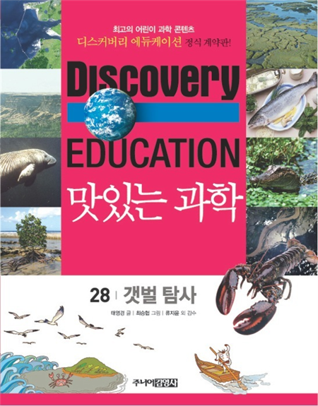 갯벌 탐사
